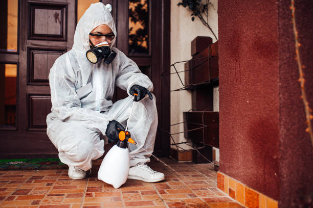Reliable Cockroach Control contractor in Horizon City, TX by Nex Pest Control