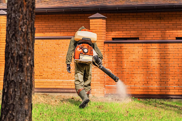 Trusted Cockroach Control service in Horizon City, TX - Nex Pest Control